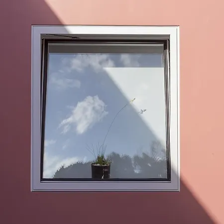 Quinta Dos Peixes Falantes ファームステイ リベイラ・グランデ