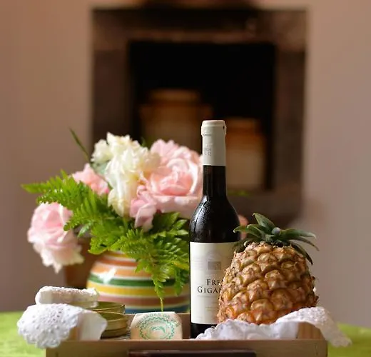 Quinta Dos Peixes Falantes * Ribeira Grande